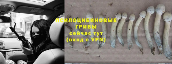 альфа пвп Верхнеуральск