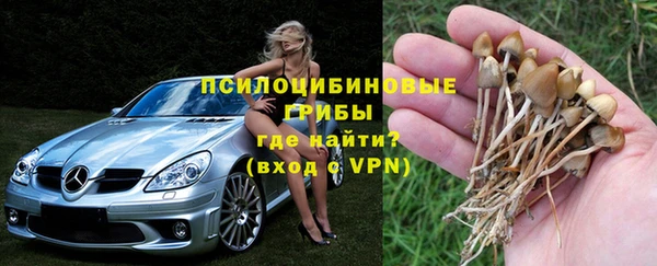 соль ск Верхний Тагил