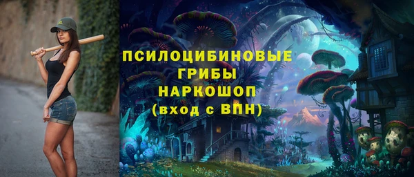 соль ск Верхний Тагил