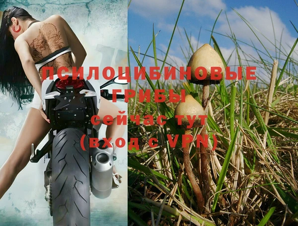 альфа пвп Верхнеуральск