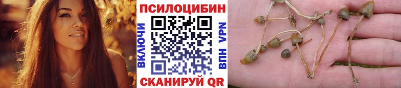 Галлюциногенные грибы MAGIC MUSHROOMS  наркота  Горнозаводск 